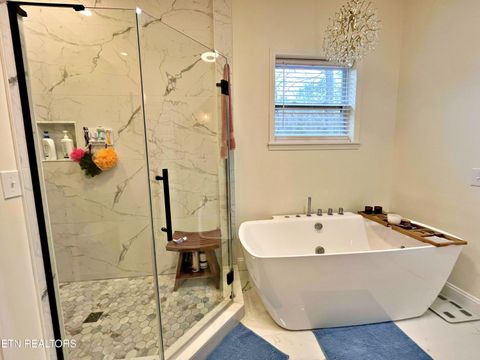 Tiny photo for 715 Half Moon Shores Drive, Ten Mile, TN 37880 (MLS # 1324920)