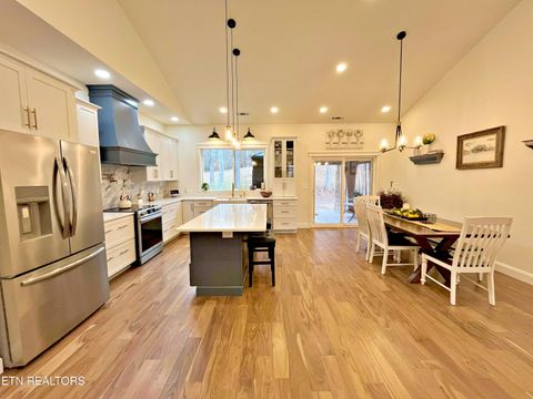 Tiny photo for 715 Half Moon Shores Drive, Ten Mile, TN 37880 (MLS # 1324920)