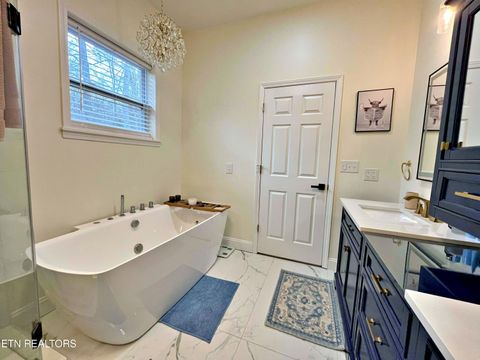 Tiny photo for 715 Half Moon Shores Drive, Ten Mile, TN 37880 (MLS # 1324920)