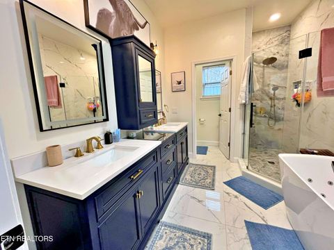 Tiny photo for 715 Half Moon Shores Drive, Ten Mile, TN 37880 (MLS # 1324920)