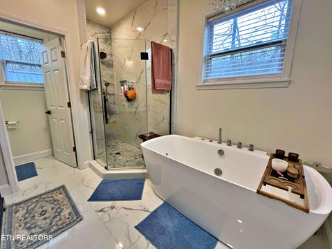 Tiny photo for 715 Half Moon Shores Drive, Ten Mile, TN 37880 (MLS # 1324920)