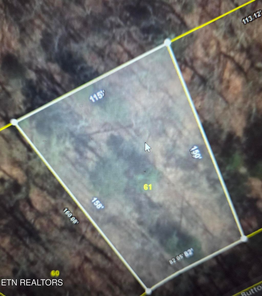 Photo of 61 Buttonwood Drive, Sevierville, TN 37876 (MLS # 1314723)