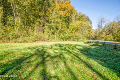 Tiny photo for 164 Moores Gap Rd, Heiskell, TN 37754 (MLS # 1359608)