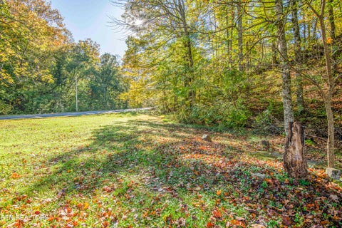 Tiny photo for 164 Moores Gap Rd, Heiskell, TN 37754 (MLS # 1359608)