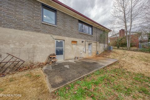 Tiny photo for 826 Patton Ferry Rd, Kingston, TN 37763 (MLS # 1331163)