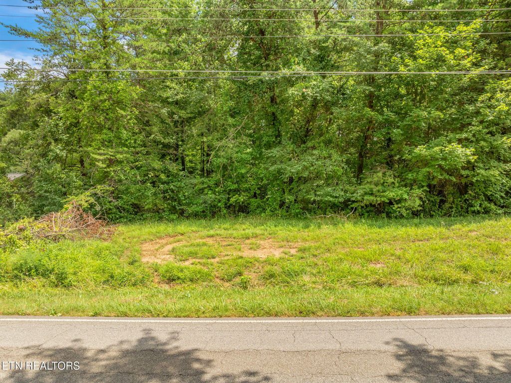 Photo of 45 Post Oak Valley Rd, Rockwood, TN 37854 (MLS # 1312686)