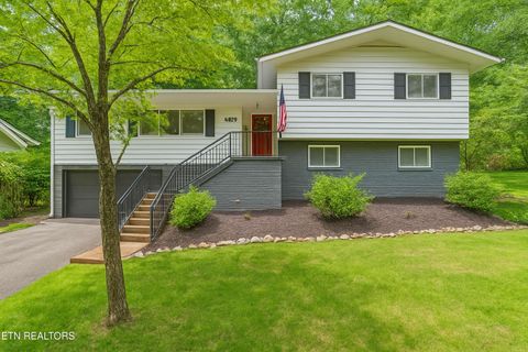 4029 Hiawatha Drive Knoxville TN 37919