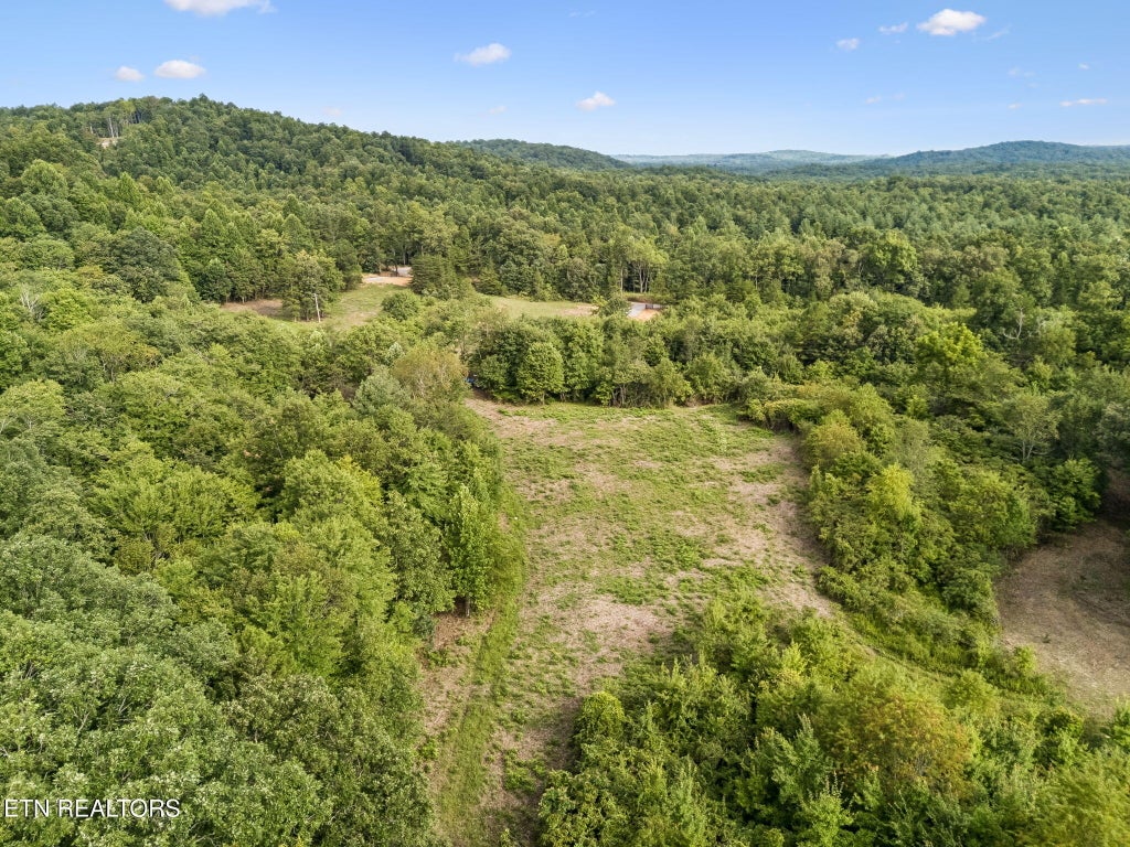 Photo of Sheep Ranch Rd. Tract 3 Rd, Robbins, TN 37852 (MLS # 1353254)