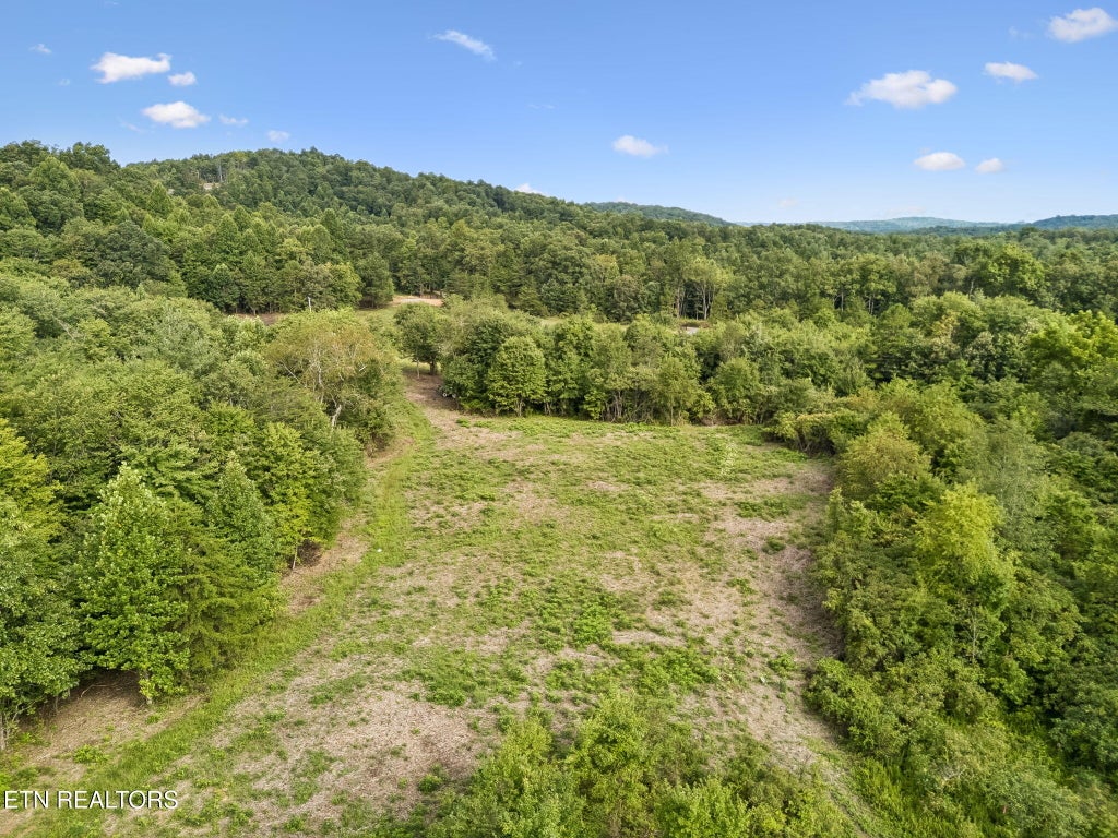 Photo of Sheep Ranch Rd. Tract 3 Rd, Robbins, TN 37852 (MLS # 1353254)