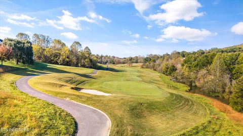 Tiny photo for 127 Hanani Tr, Vonore, TN 37885 (MLS # 1319934)