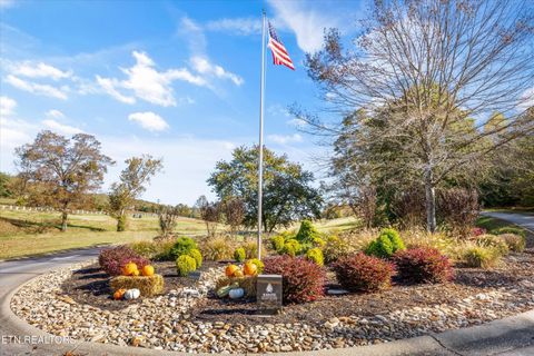 Tiny photo for 127 Hanani Tr, Vonore, TN 37885 (MLS # 1319934)