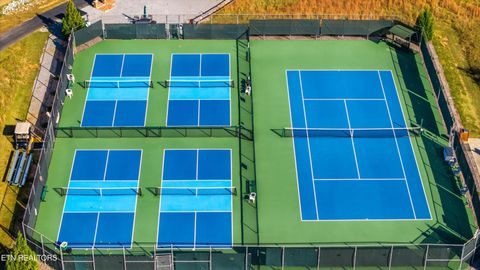 Tiny photo for 127 Hanani Tr, Vonore, TN 37885 (MLS # 1319934)