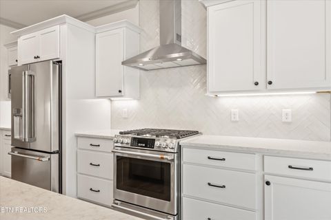 Tiny photo for 127 Hanani Tr, Vonore, TN 37885 (MLS # 1319934)