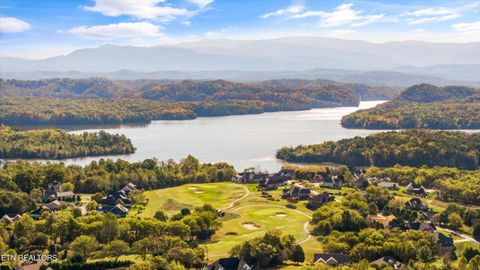 Tiny photo for 127 Hanani Tr, Vonore, TN 37885 (MLS # 1319934)