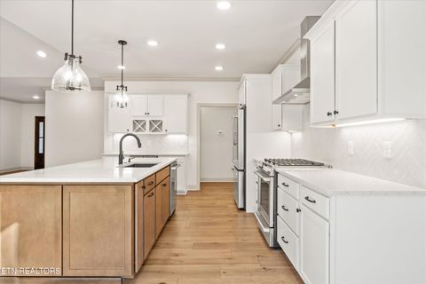 Tiny photo for 127 Hanani Tr, Vonore, TN 37885 (MLS # 1319934)