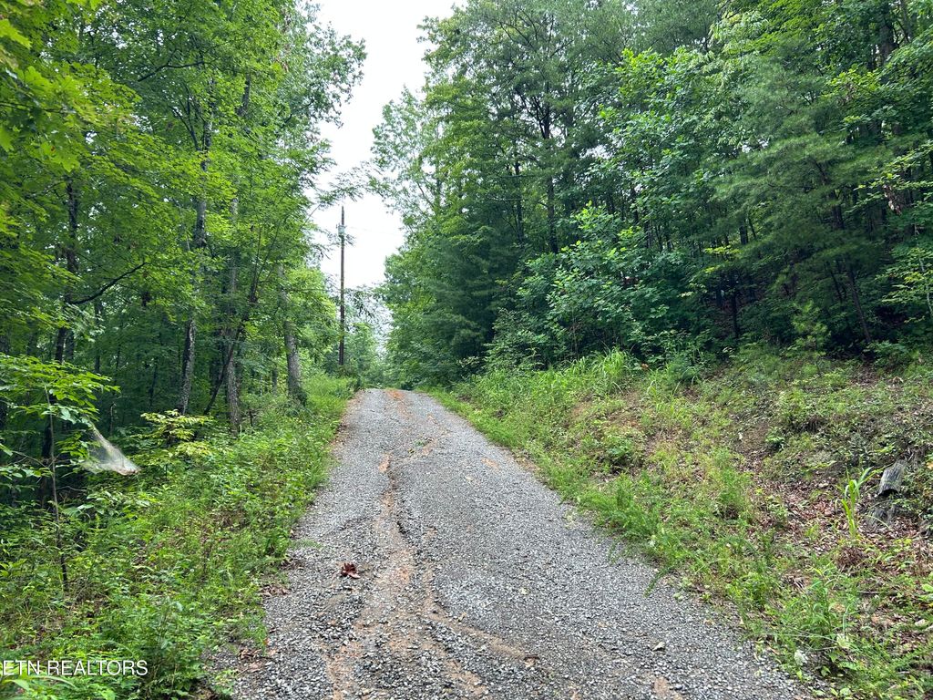 Photo of Black Oak Drive, Sevierville, TN 37876 (MLS # 1311035)