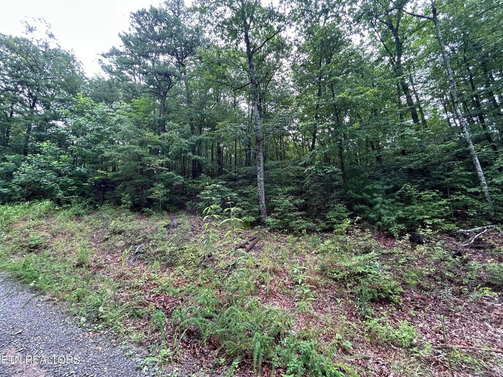 Photo of Black Oak Drive, Sevierville, TN 37876 (MLS # 1311035)