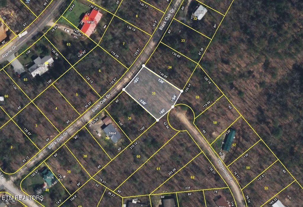 Photo of Black Oak Drive, Sevierville, TN 37876 (MLS # 1311035)