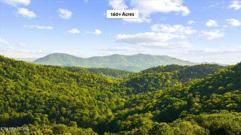 Tiny photo for 172 Pam Lane, Townsend, TN 37882 (MLS # 1338493)