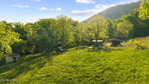 Tiny photo for 172 Pam Lane, Townsend, TN 37882 (MLS # 1338493)