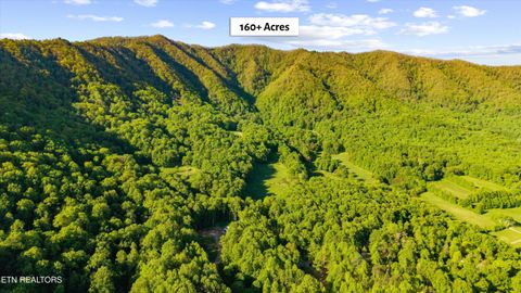 Tiny photo for 172 Pam Lane, Townsend, TN 37882 (MLS # 1338493)