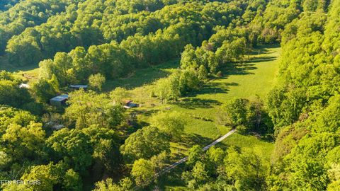 Tiny photo for 172 Pam Lane, Townsend, TN 37882 (MLS # 1338493)
