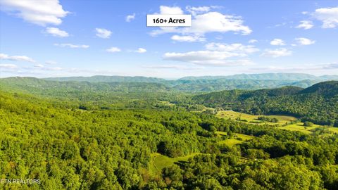 Tiny photo for 172 Pam Lane, Townsend, TN 37882 (MLS # 1338493)