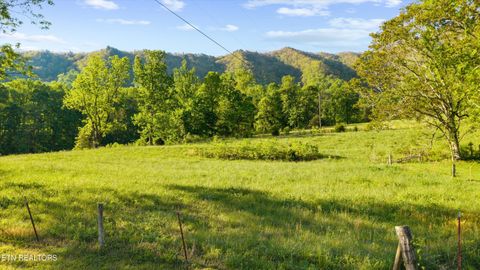 Tiny photo for 172 Pam Lane, Townsend, TN 37882 (MLS # 1338493)