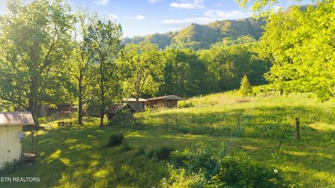 Tiny photo for 172 Pam Lane, Townsend, TN 37882 (MLS # 1338493)
