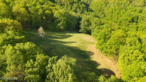 Tiny photo for 172 Pam Lane, Townsend, TN 37882 (MLS # 1338493)