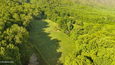 Tiny photo for 172 Pam Lane, Townsend, TN 37882 (MLS # 1338493)