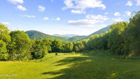 Tiny photo for 172 Pam Lane, Townsend, TN 37882 (MLS # 1338493)