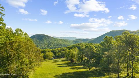 Photo of 172 Pam Lane, Townsend, TN 37882 (MLS # 1338493)