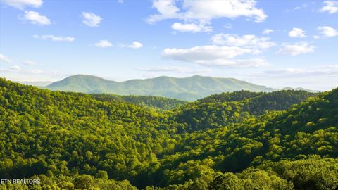Tiny photo for 172 Pam Lane, Townsend, TN 37882 (MLS # 1338493)