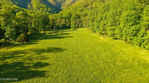 Tiny photo for 172 Pam Lane, Townsend, TN 37882 (MLS # 1338493)