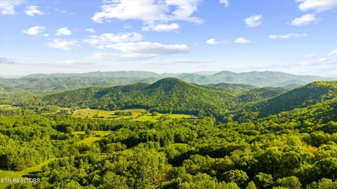 Tiny photo for 172 Pam Lane, Townsend, TN 37882 (MLS # 1338493)