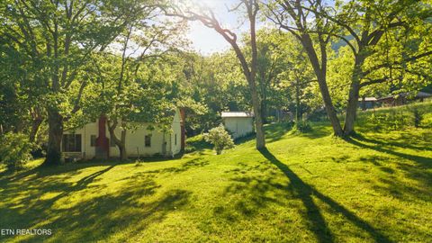 Tiny photo for 172 Pam Lane, Townsend, TN 37882 (MLS # 1338493)