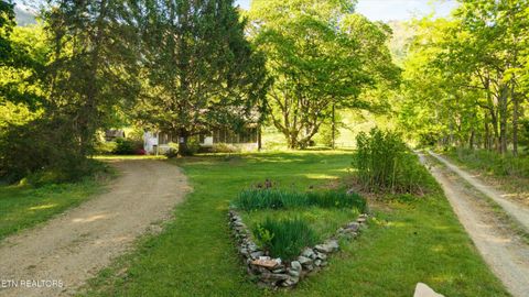 Tiny photo for 172 Pam Lane, Townsend, TN 37882 (MLS # 1338493)