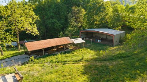 Tiny photo for 172 Pam Lane, Townsend, TN 37882 (MLS # 1338493)