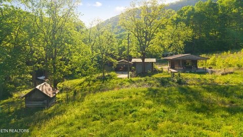 Tiny photo for 172 Pam Lane, Townsend, TN 37882 (MLS # 1338493)