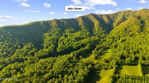 Tiny photo for 172 Pam Lane, Townsend, TN 37882 (MLS # 1338493)