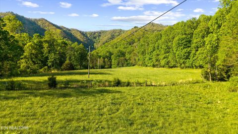 Tiny photo for 172 Pam Lane, Townsend, TN 37882 (MLS # 1338493)