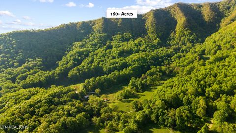 Tiny photo for 172 Pam Lane, Townsend, TN 37882 (MLS # 1338493)