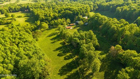 Tiny photo for 172 Pam Lane, Townsend, TN 37882 (MLS # 1338493)