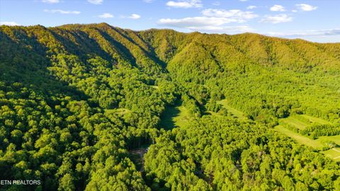 Tiny photo for 172 Pam Lane, Townsend, TN 37882 (MLS # 1338493)