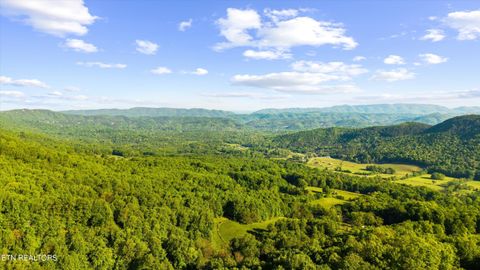 Tiny photo for 172 Pam Lane, Townsend, TN 37882 (MLS # 1338493)