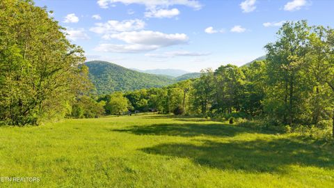 Tiny photo for 172 Pam Lane, Townsend, TN 37882 (MLS # 1338493)