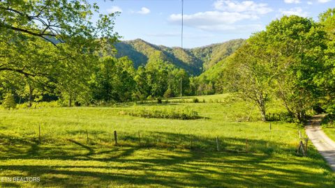 Tiny photo for 172 Pam Lane, Townsend, TN 37882 (MLS # 1338493)