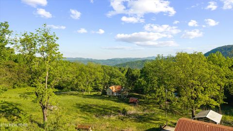 Tiny photo for 172 Pam Lane, Townsend, TN 37882 (MLS # 1338493)