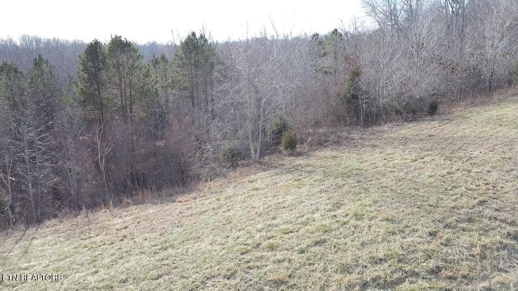 Photo of 516 Cedar Gate Lane, LaFollette, TN 37766 (MLS # 1326538)